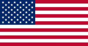 domestic-auto-repair-flag